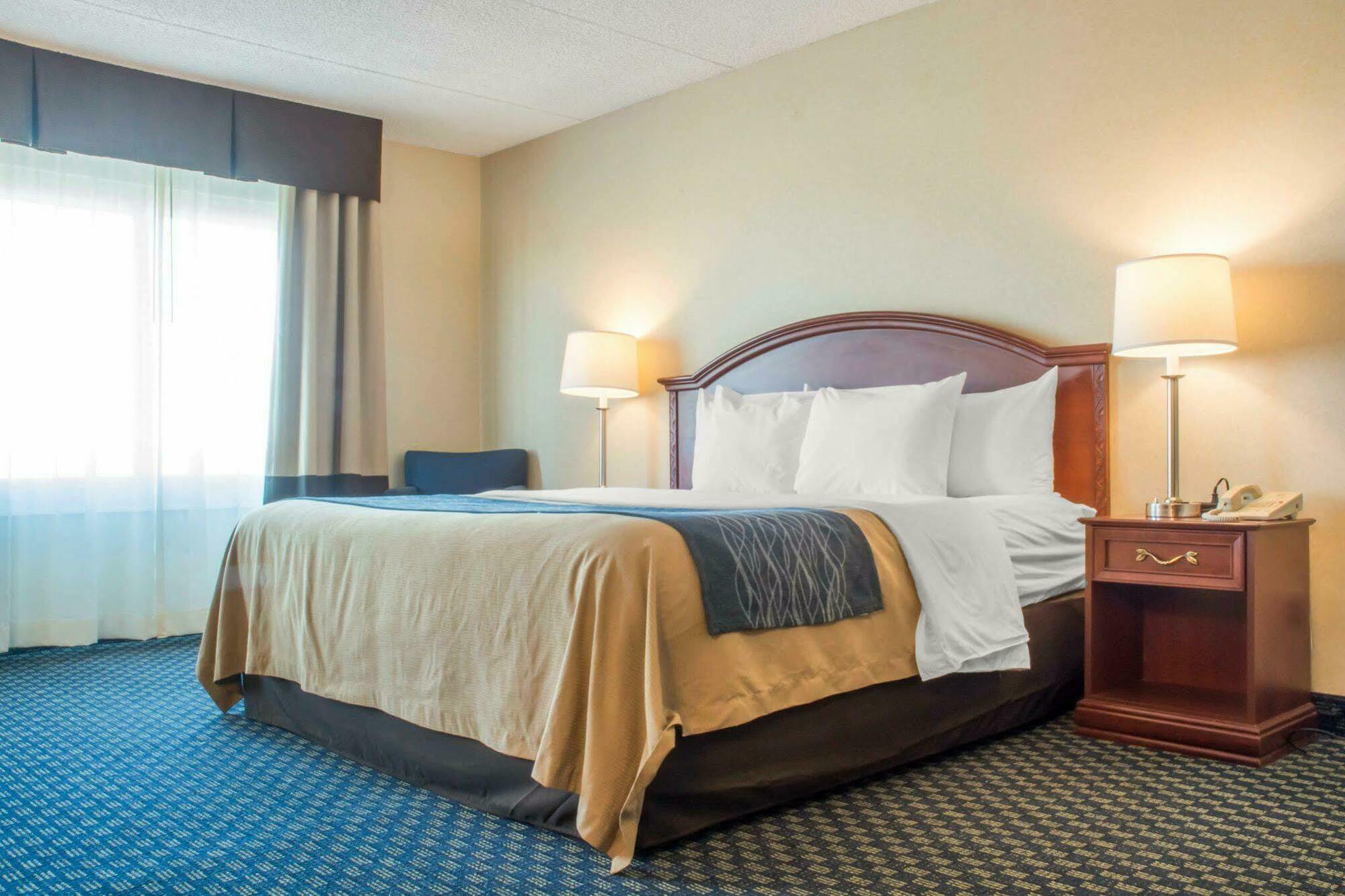 Hammock Hotel Rochester Niagara Falls Eksteriør billede